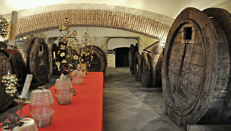XIV Simposi dels museus del vi al Museu del Suro