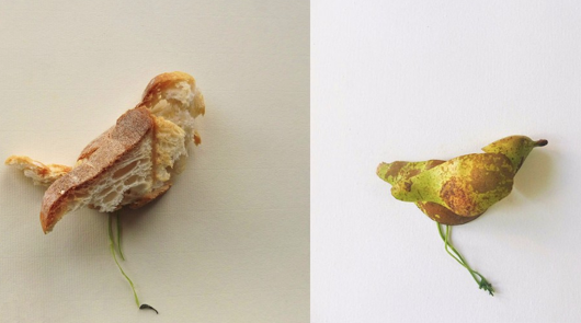 Din Matamoro a la Galeria Trinta