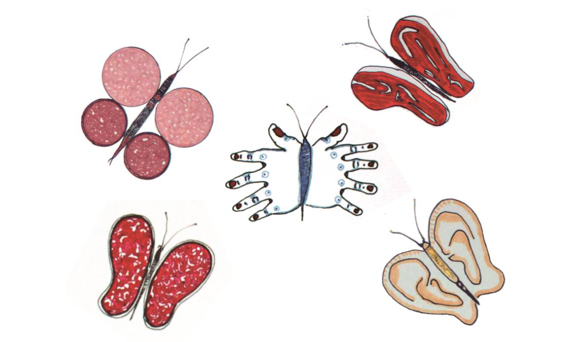 La Fundació Joan Miró presenta el cicle de l\'Espai 13