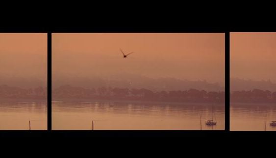 Xisela Franco a Marco, Museu d\'Art Contemporani