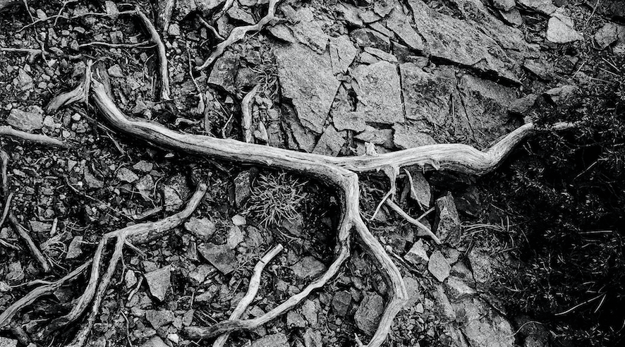 L’Hotel Eurostars Anglí * acull la primera individual del fotògraf Gastón Ariel Estruch