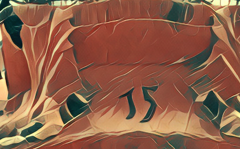 Exposició dels alumnes de l\'Estudi Casadelpavo