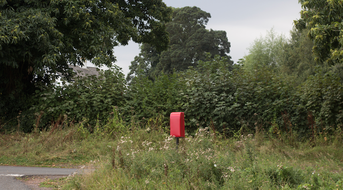 Els treballs d\'Antoni Hervàs i Bàrbara Sánchez a La Capella
