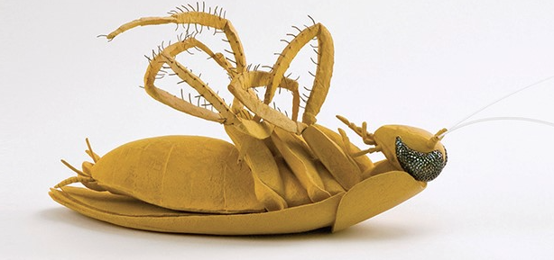 La millor ceràmica israeliana desembarca al Congrés Internacional