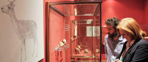 El Museu Arqueològic de Múrcia (MAM) amplia l\'exposició \