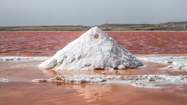 Swab Barcelona presenta la tercera edició del programa MYFAF