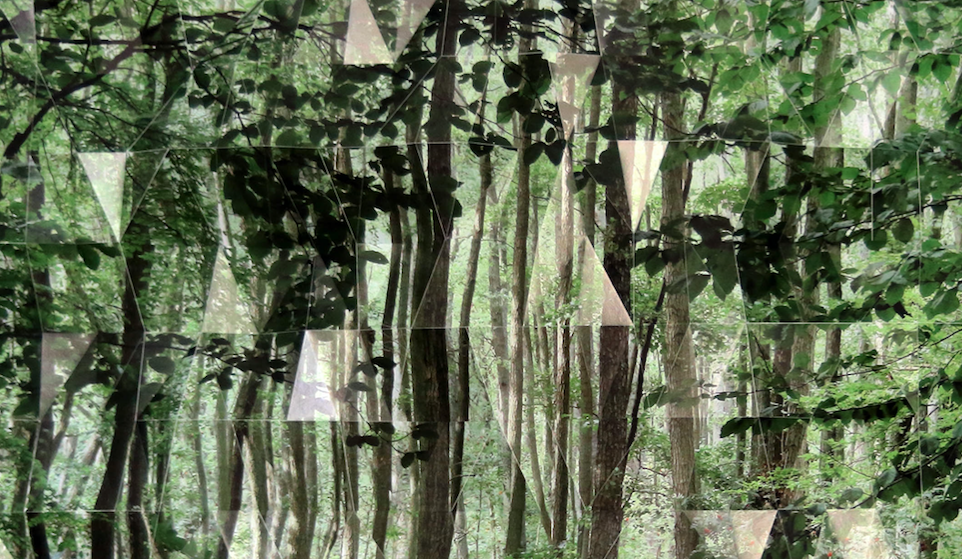 La Plataforma presenta \