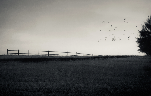 Fotografies de Guillermo de Angelis a Artemisia