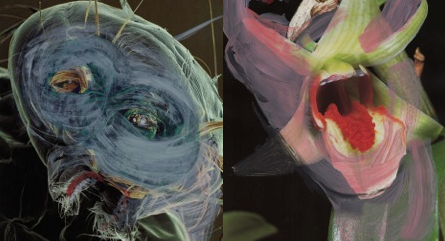 Jordi Abelló estrena Monviu a la seu del Parc de la Serra de Montsant