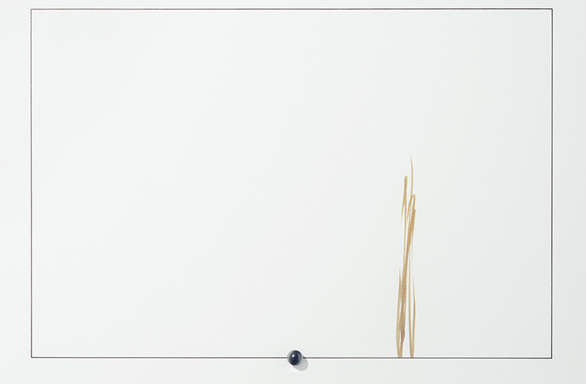 La Galeria Elvira González es trasllada