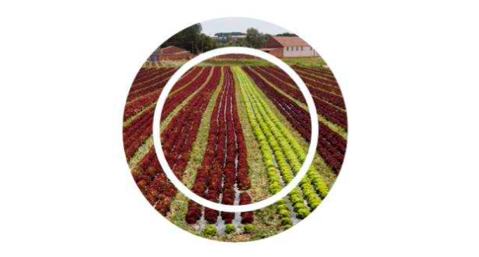 La Festa Major de l’Espluga de Francolí al Museu de la Vida Rural