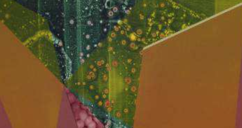 Daniel Verbis a la Galeria Siboney