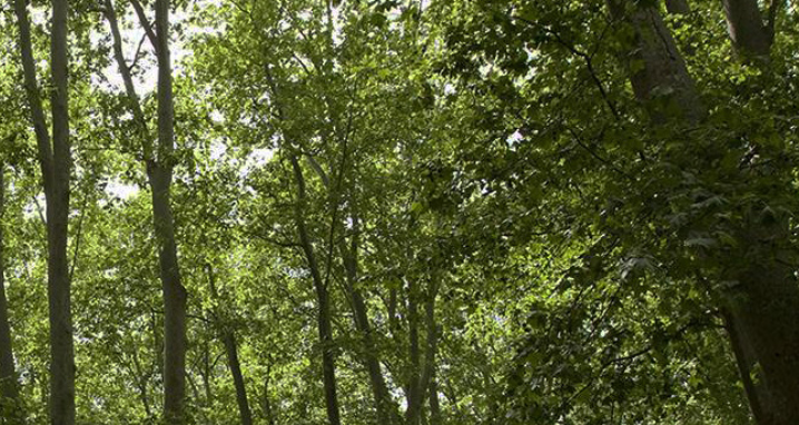 Convocatòria d\'instal·lacions \