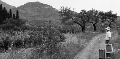 L\'Arxiu Morato Aragones obre les seves portes