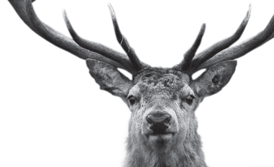 Perifèric, nou projecte artístic a Cadaqués