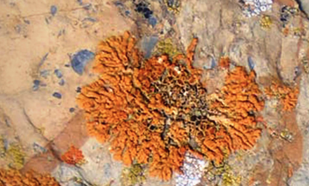 Fotografies de Christian T. Arjona a la Llibreria Context