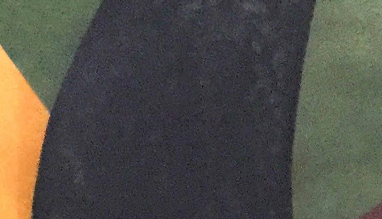 Dieu presenta l\'obra de Dominica Sánchez