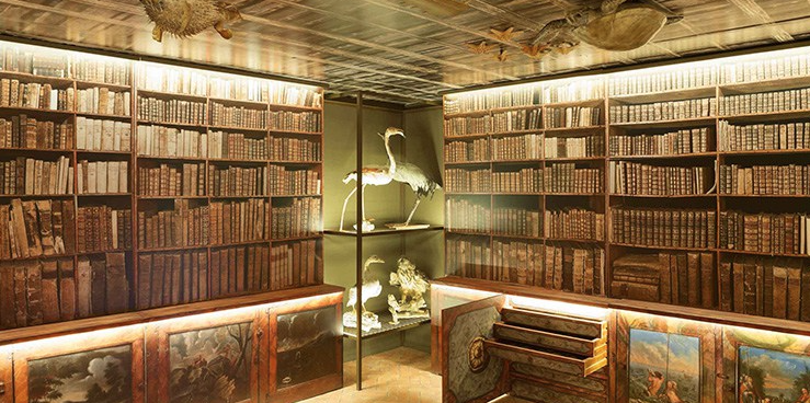 VI Premis de l\'Associació de Museòlegs de Catalunya