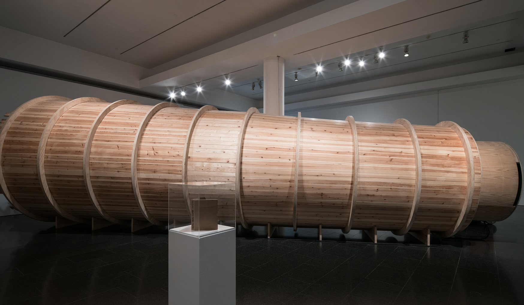 “Col·lecció MACBA 31” mostra nous recorreguts a través del fons del museu