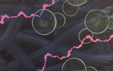 Joan Cabrer i Di+IA a la Galeria Trama