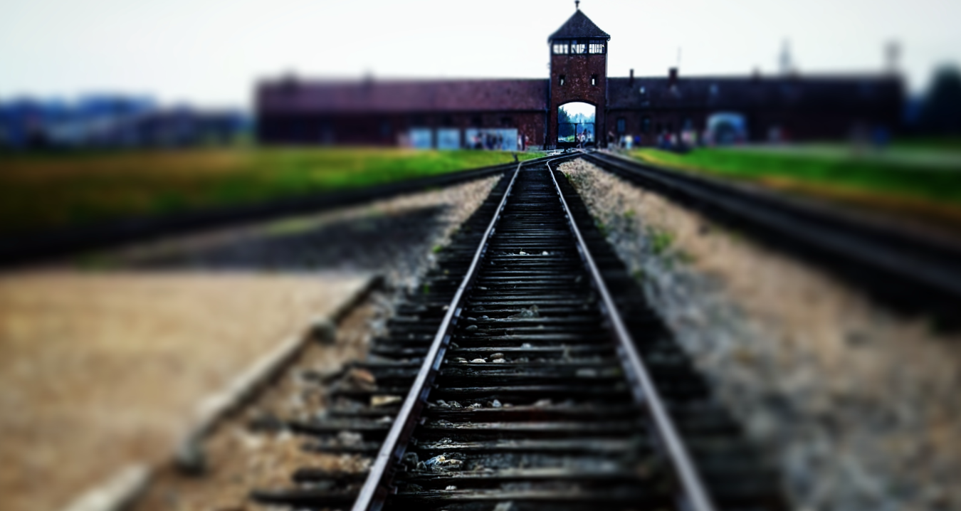 Les Biblioteques de Girona organitzen el II Concurs d’Instagram