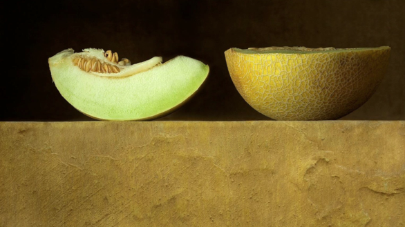 Col·lectiva del Concurs de Bodegó de la RSFZ