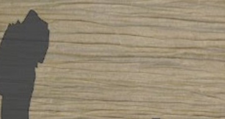 La Fundació Iluro presenta \