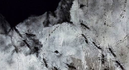 Samantha Bosque a la Galeria Pilar Riberaygua