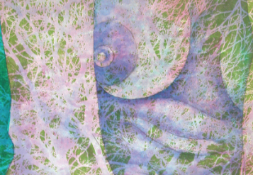 Raigorodsky, Barrocas i Narotzky exposen \