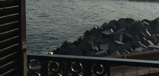 Ferran Freixa exposa a \