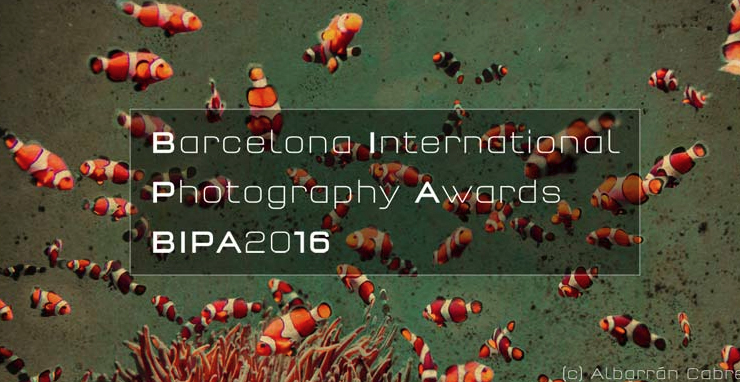 Segona edició del \