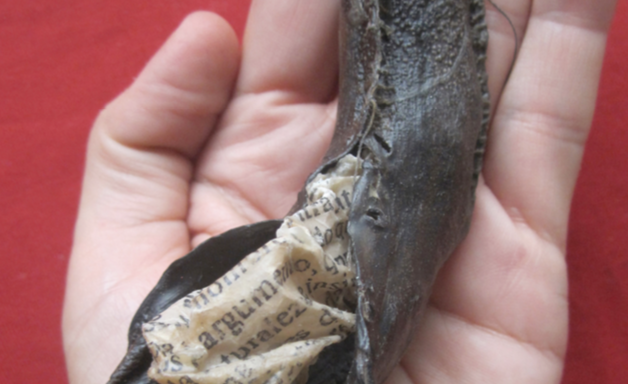 Anamusma, Artista Emergent # MQL5