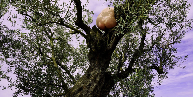 Presentació del treball d\'Izabela Oldak a CACIS