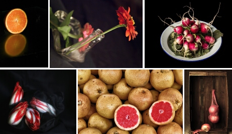 Col·lectiva a la Sala Gil Marraco