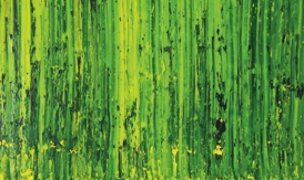 Albert Arribas a la Casa Saladrigas