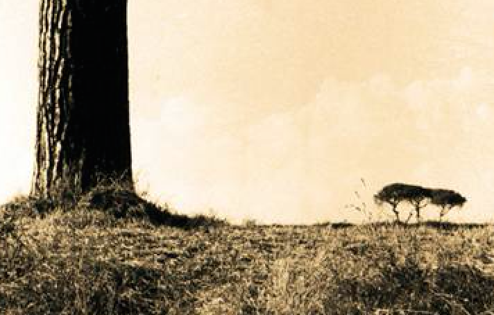 Col·lectiva de Nadal a Arteko galeria 1996-2016