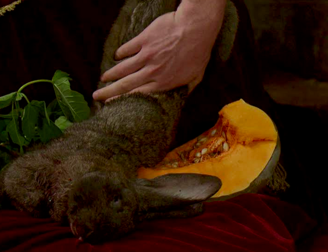 Rosa Santos acull el col·loqui \