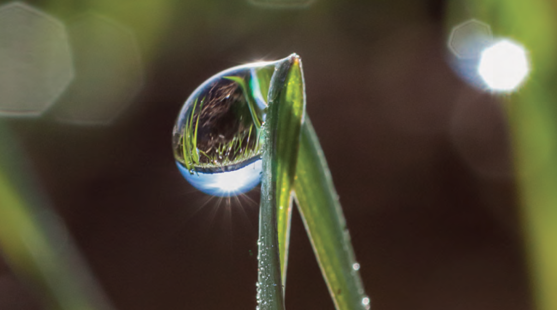 Diàleg sobre l\'exposició “Rosada i blat” de Luis Camargo a l\'Ecomuseu-Farinera