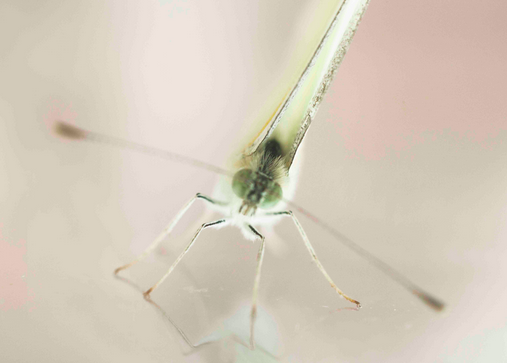 La galeria Art Deal Project exposa la fotografia aquosa de Victoria Rodríguez Cruz