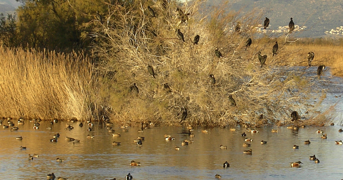 El Palau Robert presenta \