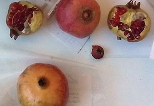 L\'Espai Lluís Ribas celebra 20 anys i presenta \