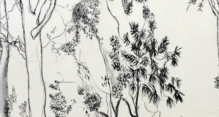 Ana Sardá exposa a la Galeria Silvia Sennacheribbo