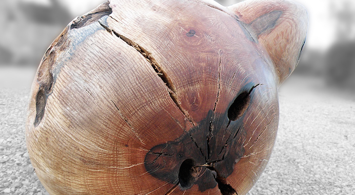 Galeria Espai d\'art 32 acull una mostra d\'escultura de Joan Oliver