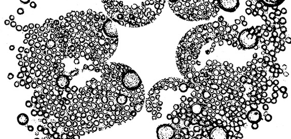 Neix el Festival Internacional d’Art EQNX