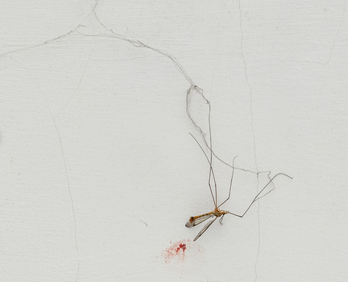 La ciència a través de l\'art, a la Twin Gallery