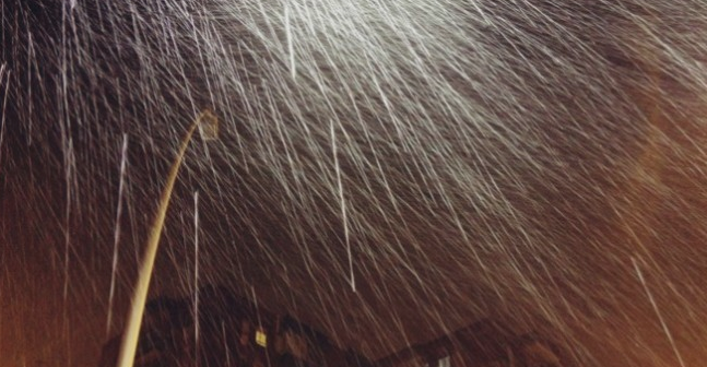 Grisart presenta una mostra amb els millors treballs dels alumnes