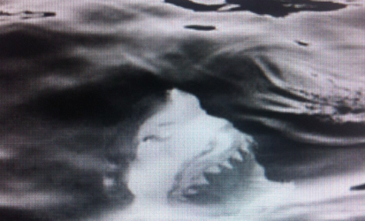 Javier Soto presenta \