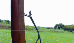 Arc\'º Pujol exposa als Porxos de Can Laporta