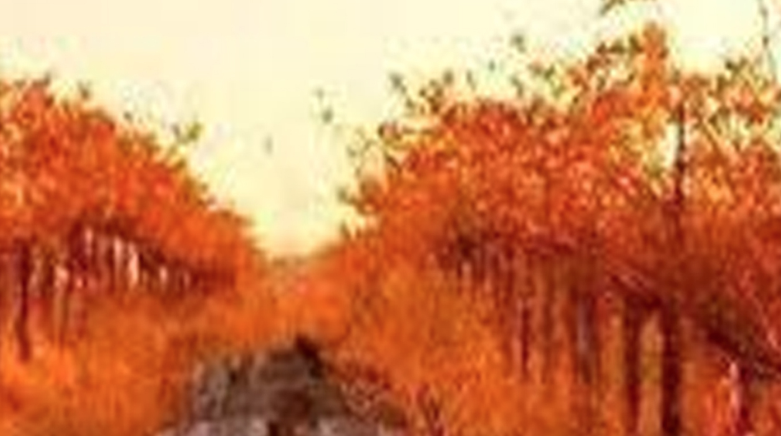 Col·lectiva de Grupdart.cat dedicada a La Verema