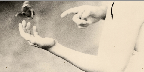 Exposició de Masao Yamamoto a la galeria Espaciofoto